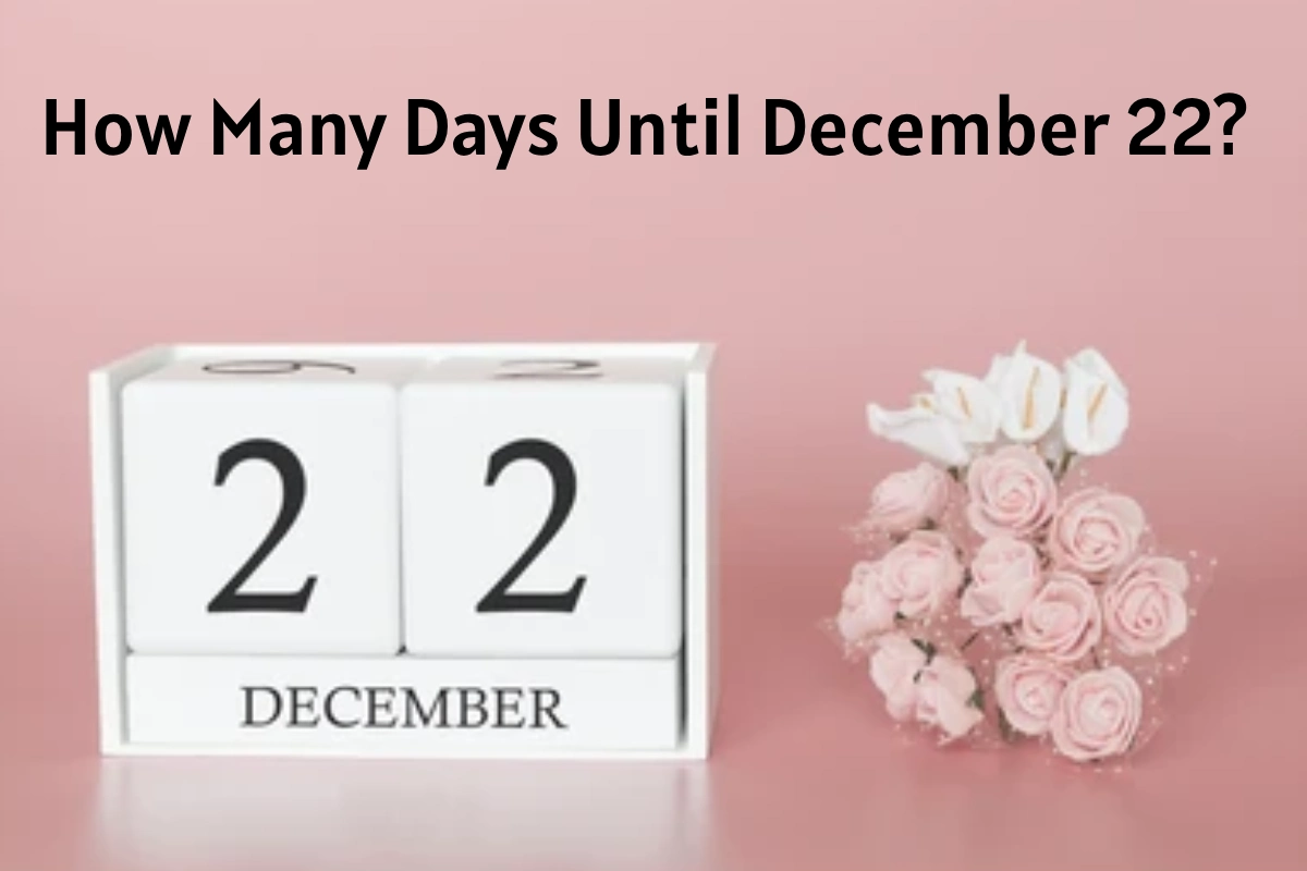 How Many Days Until December 22?