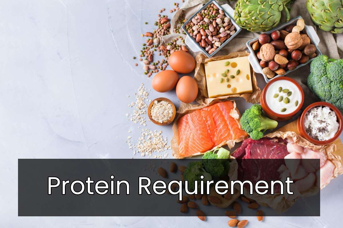 Daily Protein Requirement Different Sources 2022